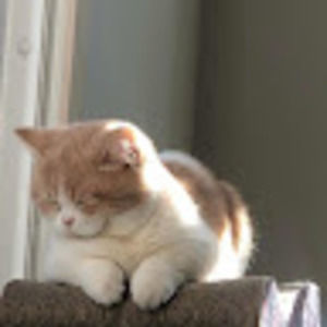 Meet your Posher, Maria